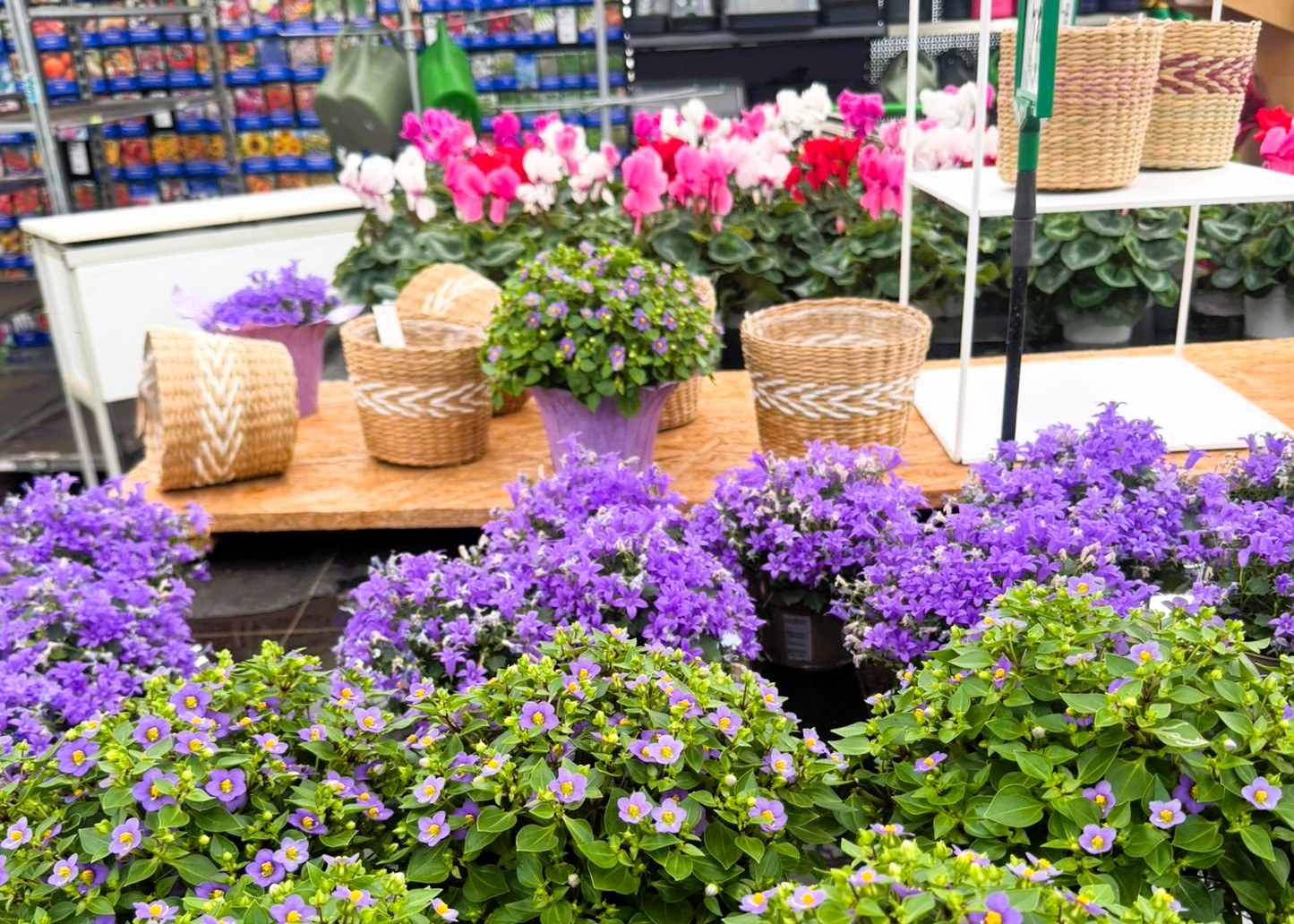 Monheimer Blumenmarkt